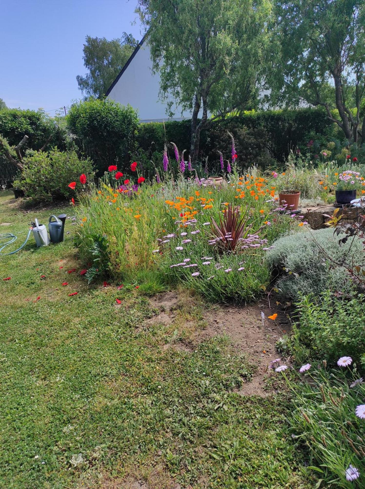 Grand Studio Duplex Avec Jardin La Trinité-sur-Mer Buitenkant foto
